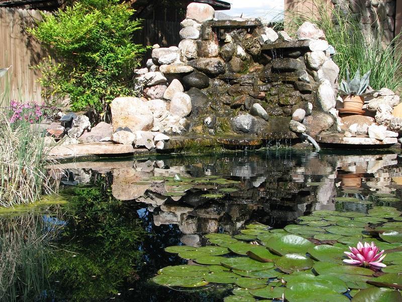 Mountain Valley Lodge Rodeo 外观 照片